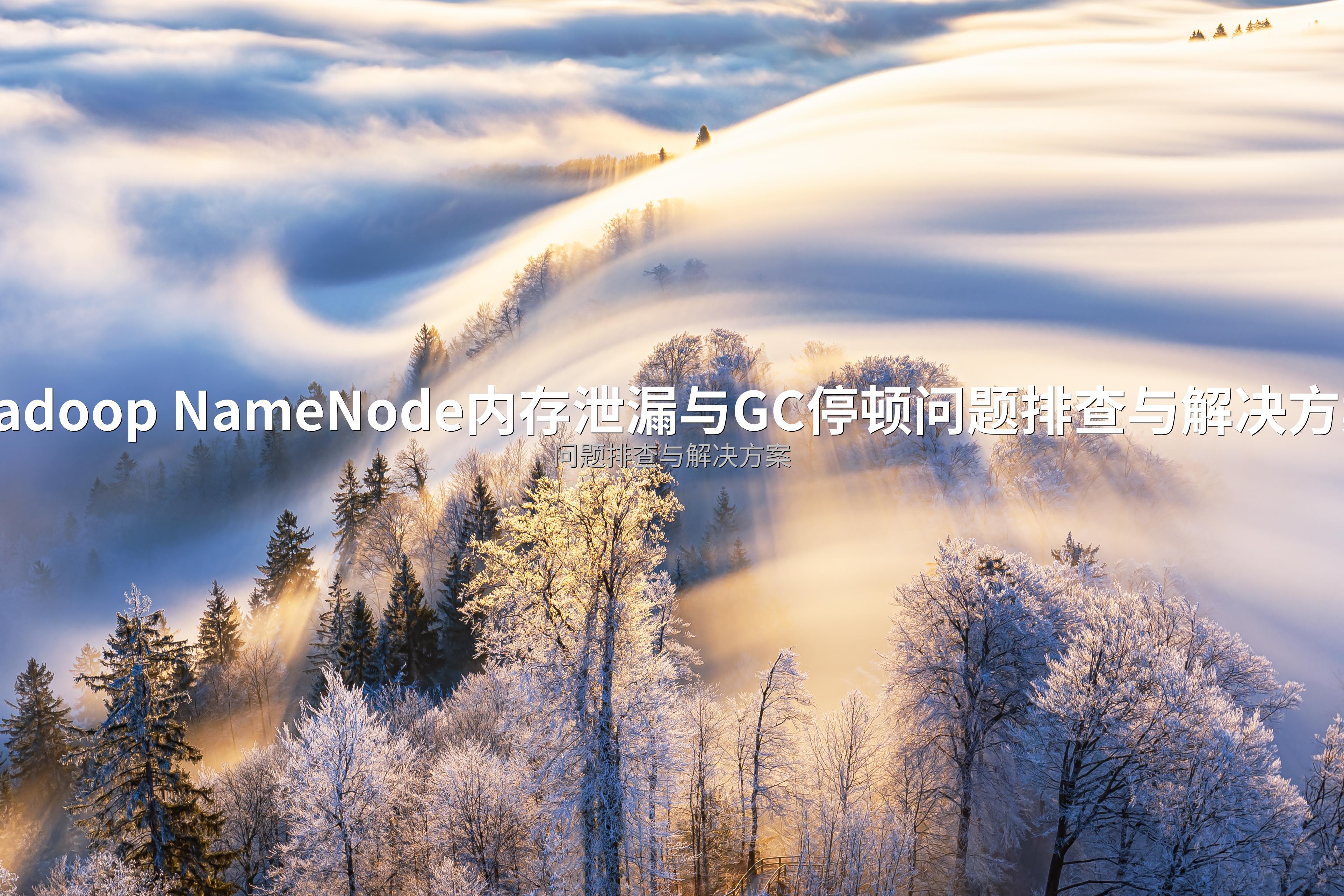 Hadoop NameNode内存泄漏与GC停顿