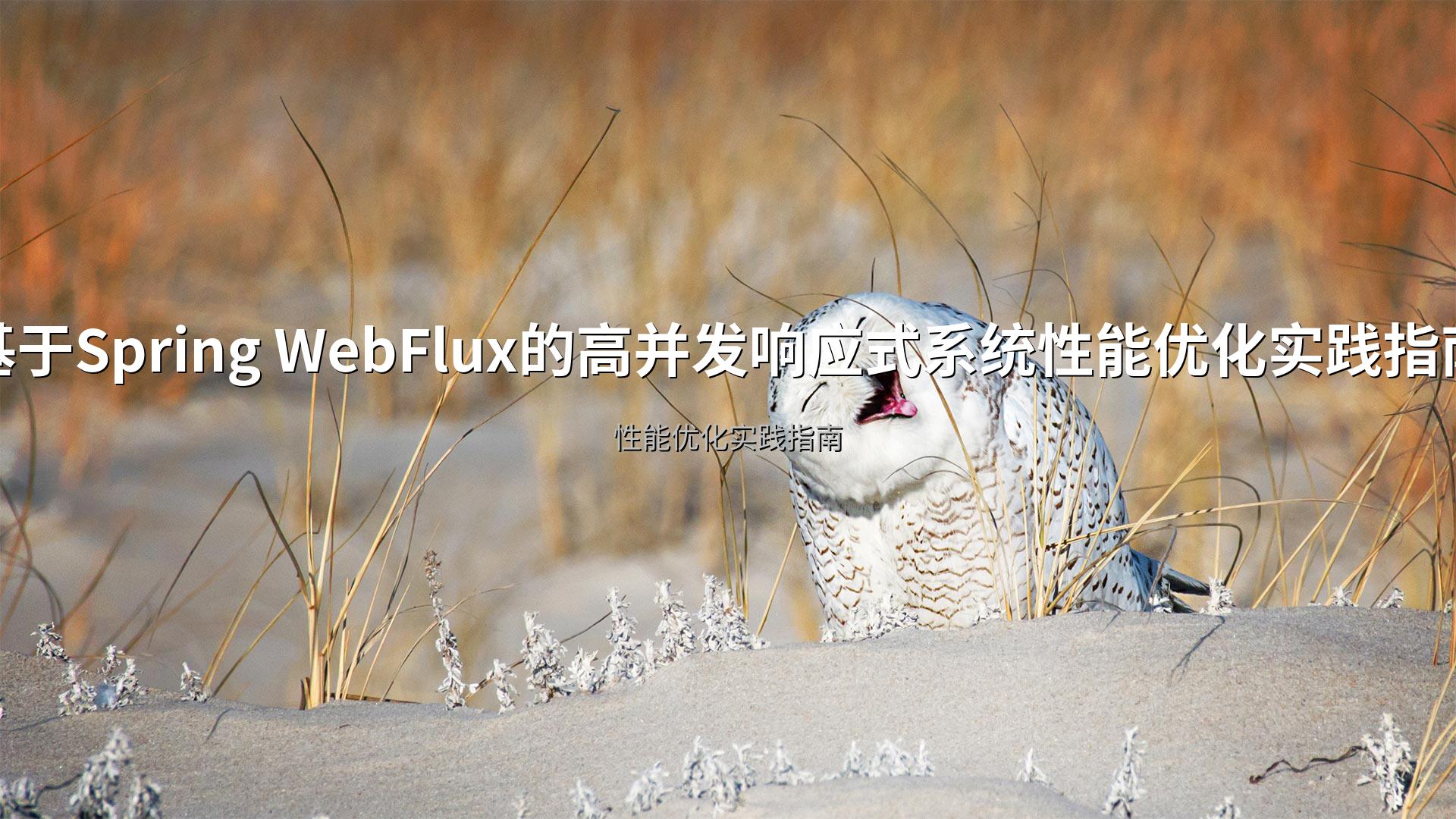 封面图片